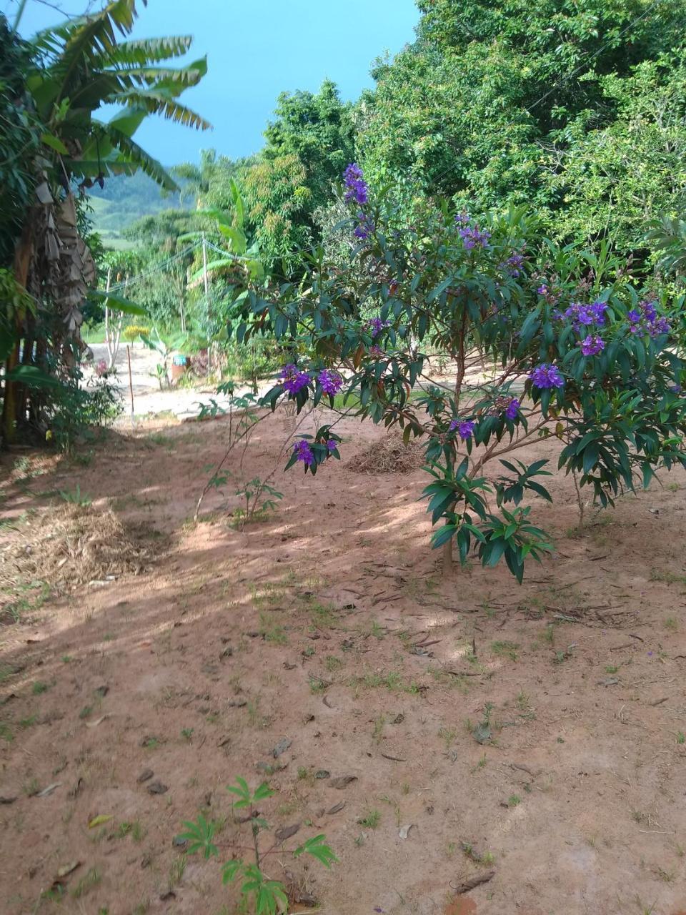 Sitio Vale Das Montanhas São Tomé das Letras Eksteriør bilde